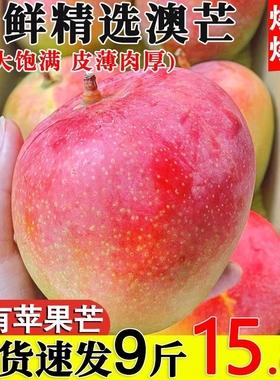 新鲜黄金大澳芒大芒果9斤应当季热带水果苹果芒热带水果青皮甜心