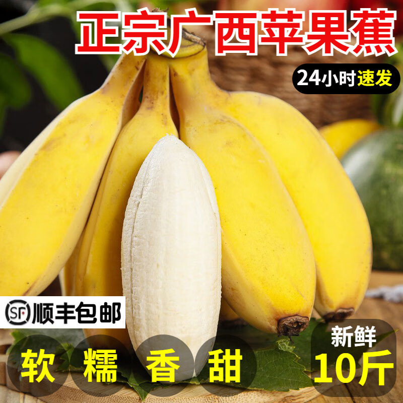 正宗苹果蕉香蕉新鲜9斤包邮当季水果广东自然熟粉蕉特大果banana