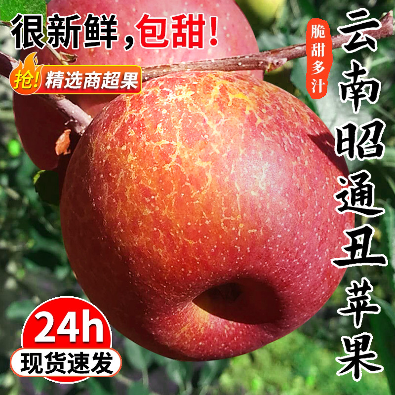 云南昭通丑苹果冰糖心新鲜水果当季整箱10斤红富士大凉山苹果批发
