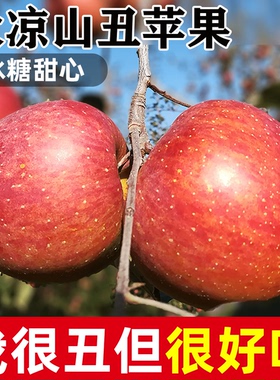大凉山丑苹果10斤冰糖心苹果新鲜当季水果盐源红富士平安果整箱