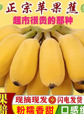 正宗苹果香蕉新鲜10斤特大果广西应季时令水果整箱包邮自然熟粉蕉