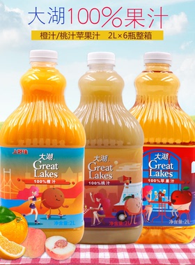 大湖果汁橙汁苹果汁桃汁浓缩汁大瓶装水果饮料商用整箱