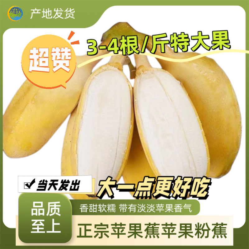正宗广西苹果蕉特大果banana时令特产水果孕妇自然熟新鲜现砍9斤