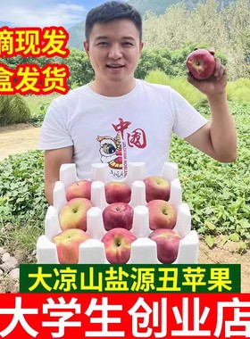 大凉山盐源丑苹果当季新鲜水果现摘现发整箱10斤红富士冰糖心苹果