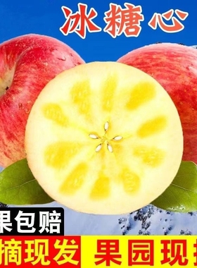 【全网低价】新鲜苹果冰糖心苹果9斤特大果当季新鲜水果整箱包邮