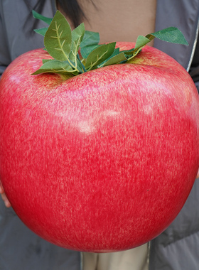特大假水果道具 仿真水果蔬菜大模型 泡沫粉苹假苹果玩具家具展示