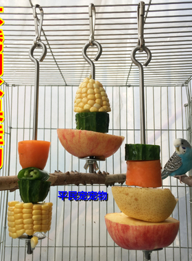 中大型鹦鹉鸟用品 不锈钢水果叉挂勾玉米苹果实叉玩具叉鸟笼配件