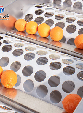 选机 选苹果机 大小水果分级机 果599柠檬圆形果筛选分水 水果分