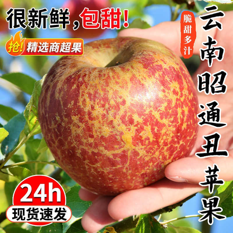 云南昭通丑苹果冰糖心苹果新鲜水果当季整箱10斤包邮大凉山苹果