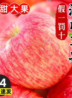 现摘陕西洛川苹果9斤脆甜红富士整箱当季新鲜水果大礼盒冰糖心丑
