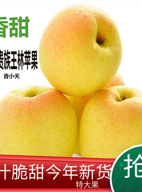贵族正宗翡翠红王林苹果现摘新鲜孕妇水果送礼日本青森脆甜稀有大