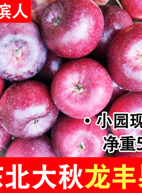 东北龙丰果大秋果整箱5斤沙果新鲜当季水果特产海棠果龙秋小苹果