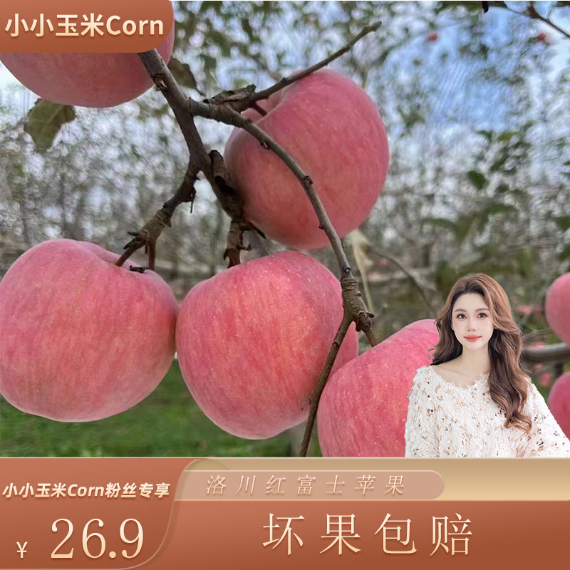 【生活大爆炸】新鲜水果陕西延安洛川红富士苹果高原山地苹果