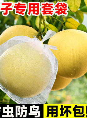 柚子专用套袋大号防虫防鸟水果蜜柚西瓜苹果葡萄果袋神器尼龙网袋