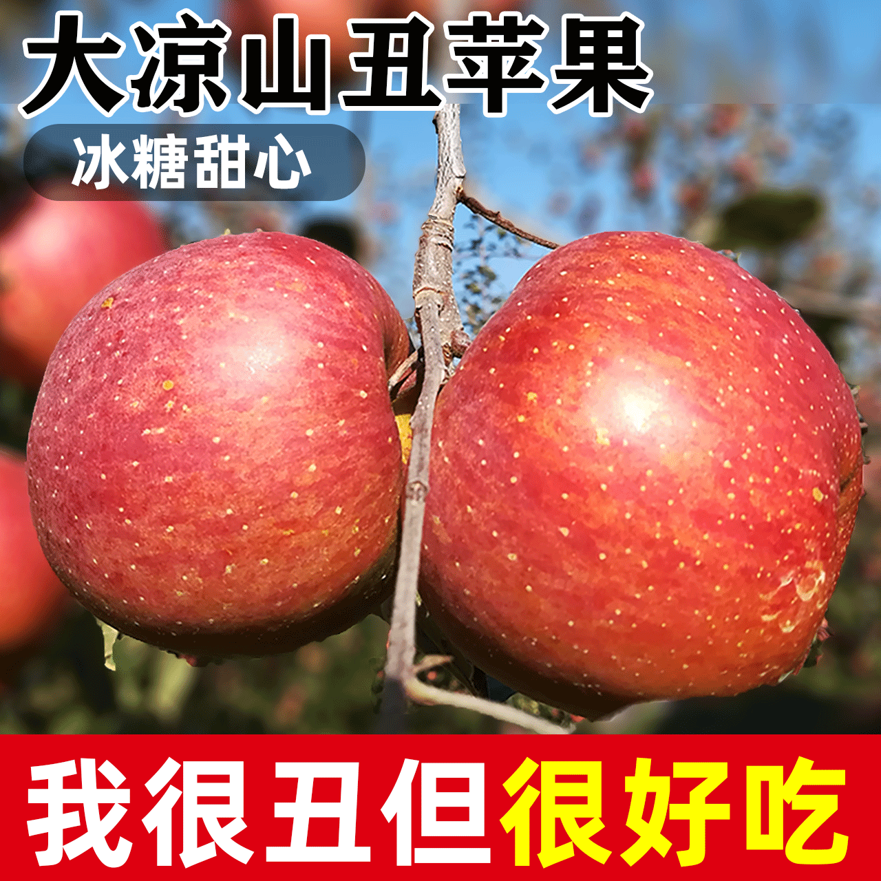大凉山丑苹果10斤冰糖心苹果新鲜当季水果盐源红富士平安果整箱