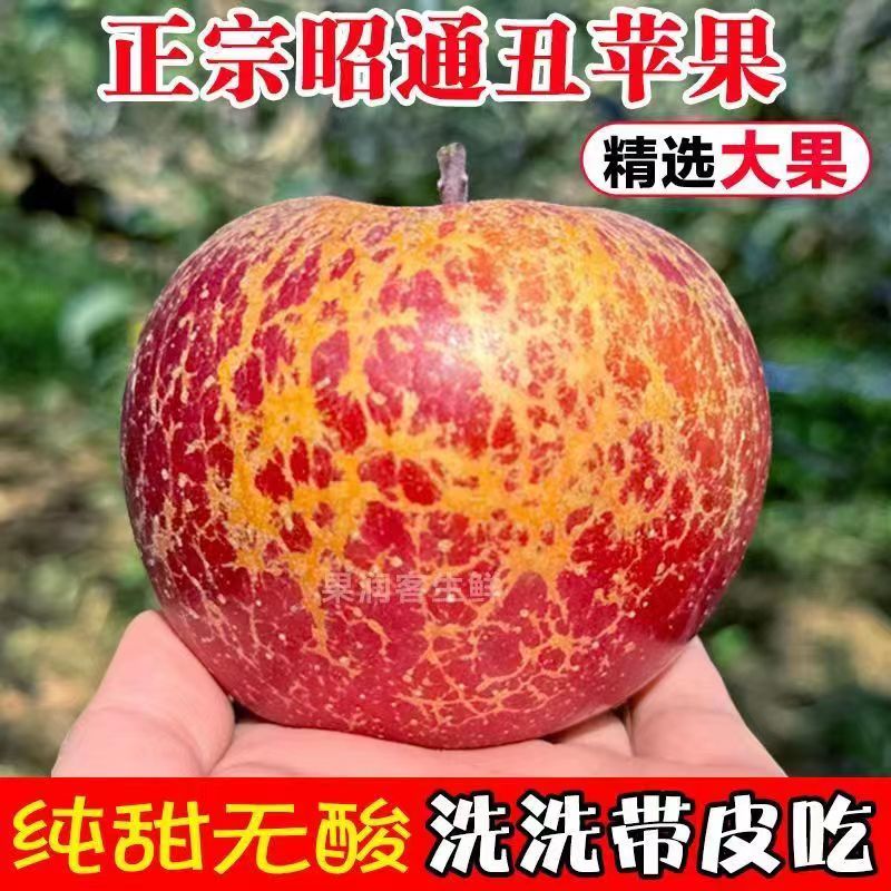 云南昭通市丑苹果10斤冰糖心新鲜水果当季整箱红富士大凉山苹果5