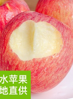 新鲜现摘浆水红富士苹果河北邢台特产当季农家水果20斤整箱包邮