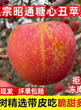 正宗云南昭通丑苹果冰糖心当季新鲜水果红露平野生甜苹果10斤整箱