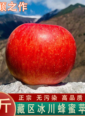 藏区阿坝冰川蜂蜜苹果小金新鲜水果冰糖心平萍果丑苹果四川红将军