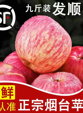 烟台苹果山东栖霞红富士孕妇吃的当季不打蜡脆甜平五斤大新鲜水果