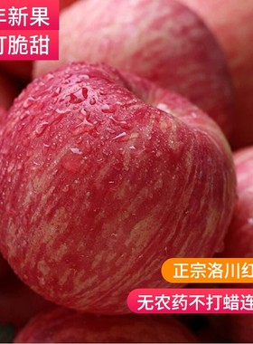 苹果水果新鲜水果当季整箱陕西洛川正宗红富士一级脆甜10斤包邮平