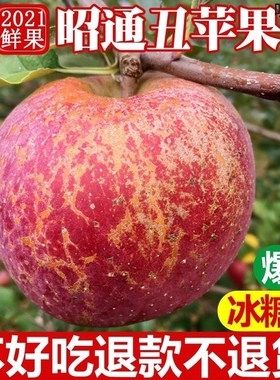 云南昭通丑苹果冰糖心当季新鲜水果高山平野生苹果10斤整箱非盐源