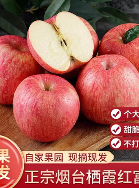 正宗山东烟台红富士苹果新鲜10斤包邮水果当季整箱栖霞一级脆甜平