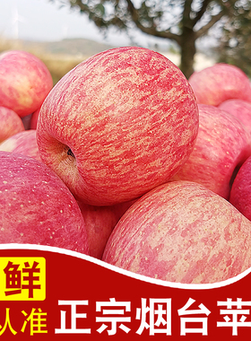 正宗山东烟台红富士苹果新鲜水果旗舰店栖霞吃的当季脆甜平五斤
