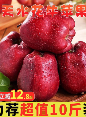 甘肃天水花牛苹果新鲜水果10红蛇产地斤平速发时令粉面刮泥大甜丑