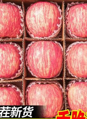 苹果水果新鲜水果当季整箱陕西洛川正宗红富士一级脆甜10斤包邮平