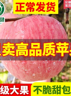 特级山东烟台栖霞红富士大苹果礼盒新鲜水果10斤带当季整箱平脆甜