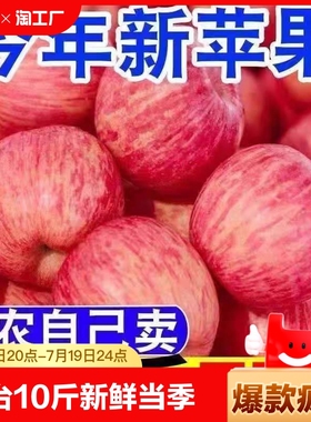 烟台红富士苹果10斤水果新鲜当季整箱包邮山东栖霞冰糖心丑平萍果