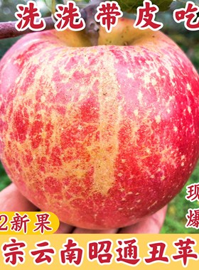 云南昭通苹果水果新鲜当季红富士正宗丑平萍果冰糖心整箱10斤
