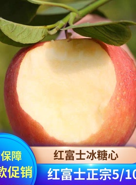 新货红富士苹果10斤孕妇水果新鲜当季一整箱青红富士脆甜丑平苹