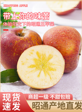 云南昭通苹果丑苹果新鲜水果红露当季整箱10斤平冰糖心红富士孕妇