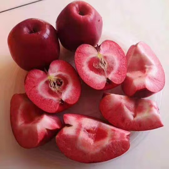 红色挚爱红肉苹果水果新鲜当季整箱5斤包邮平移旋转短袖上装元宝