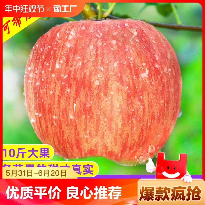 山西运城红富士丑苹果新鲜水果当季整箱斤10应季冰糖心脆甜平萍果