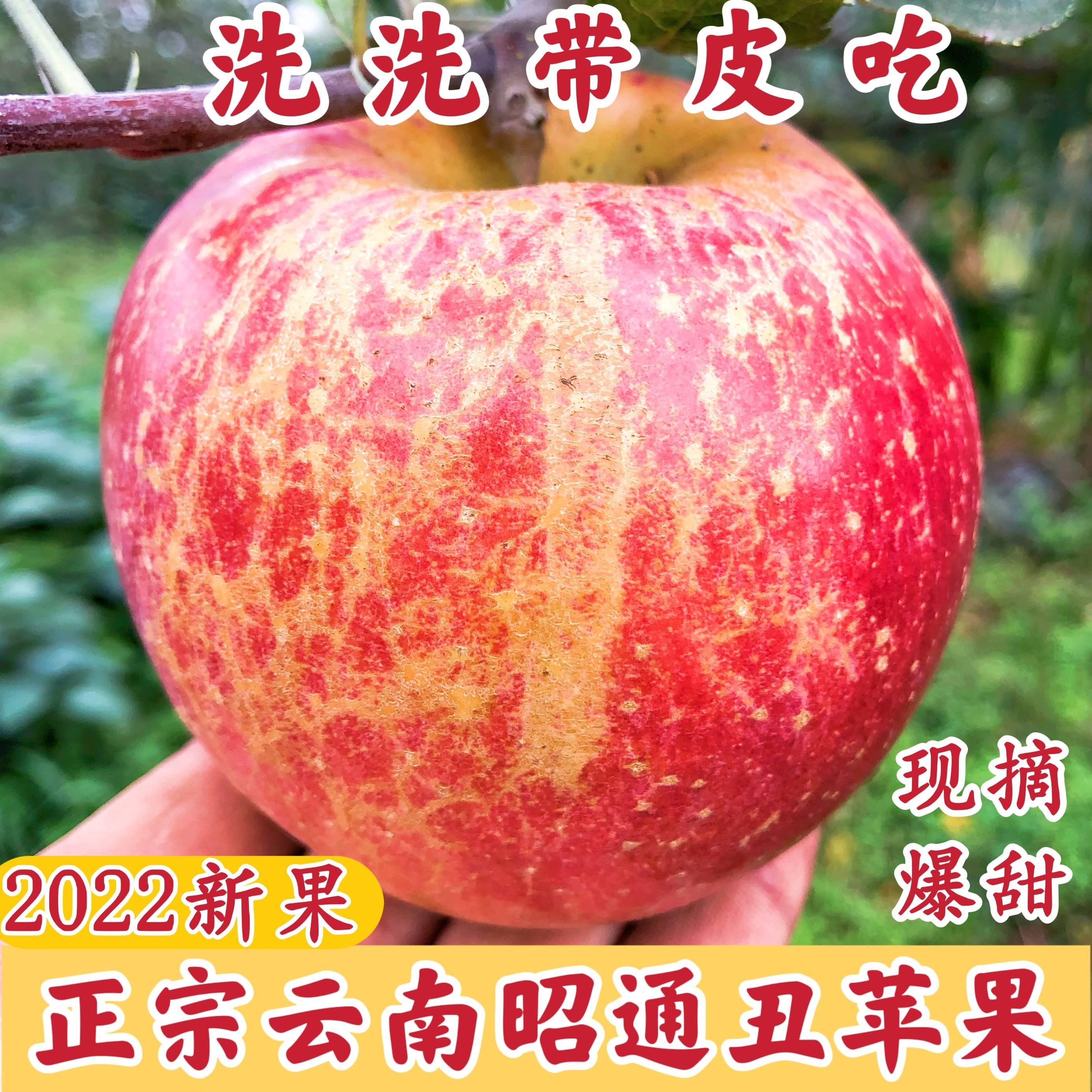 云南昭通苹果水果新鲜当季红富士正宗丑平萍果冰糖心整箱10斤