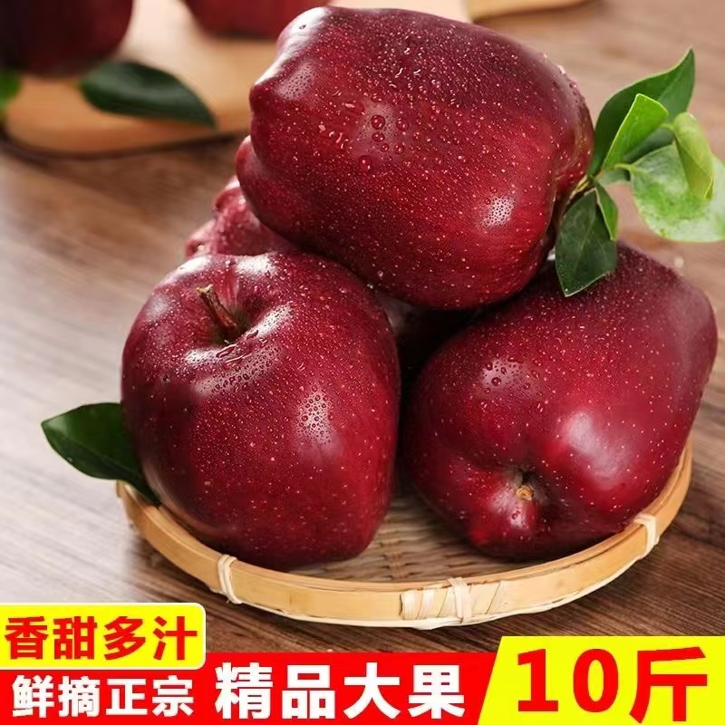 甘肃天水花牛苹果10斤整箱新鲜水果当季红蛇平果粉面苹果刮泥脆甜