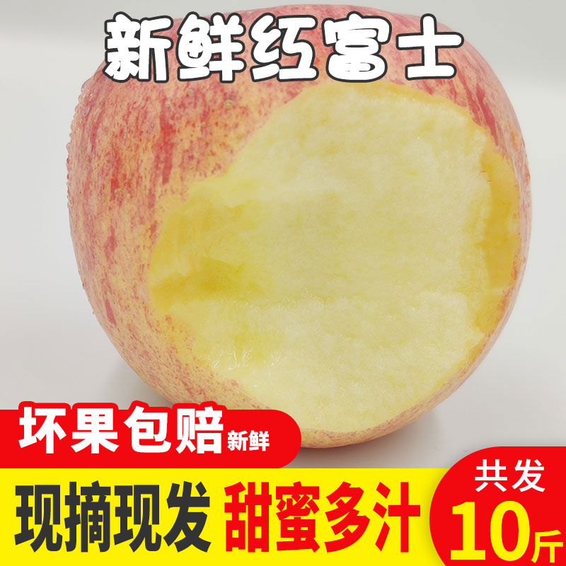 红富士苹果水果脆甜新鲜当季整箱10斤冰糖心平山东栖霞