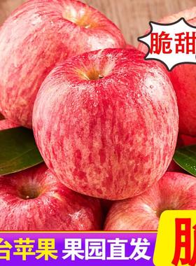 【现摘现发】烟台红富士苹果新鲜水果孕妇脆甜5斤整箱平当季水果