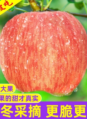 山西运城红富士丑苹果新鲜水果当季整箱斤10应季冰糖心脆甜平自然