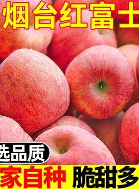 红富士新鲜10斤丑平萍果平果季一级栖霞应当烟台水果脆甜苹果