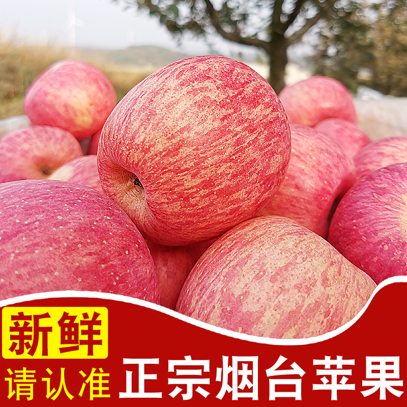 正宗山东烟台红富士苹果新鲜水果旗舰店栖霞吃的当季脆甜平五斤