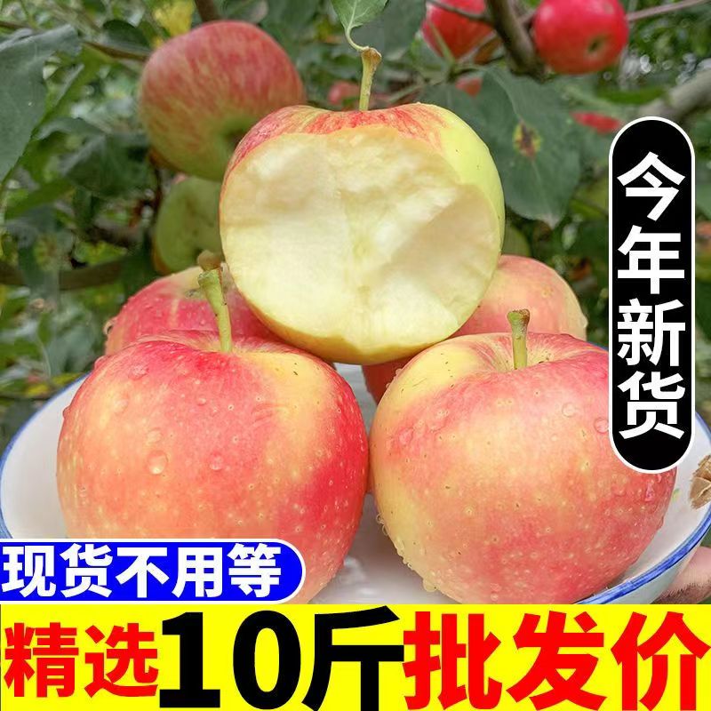 【新货】嘎啦苹果水果新鲜脆甜一整箱应季山西红富士丑萍平小
