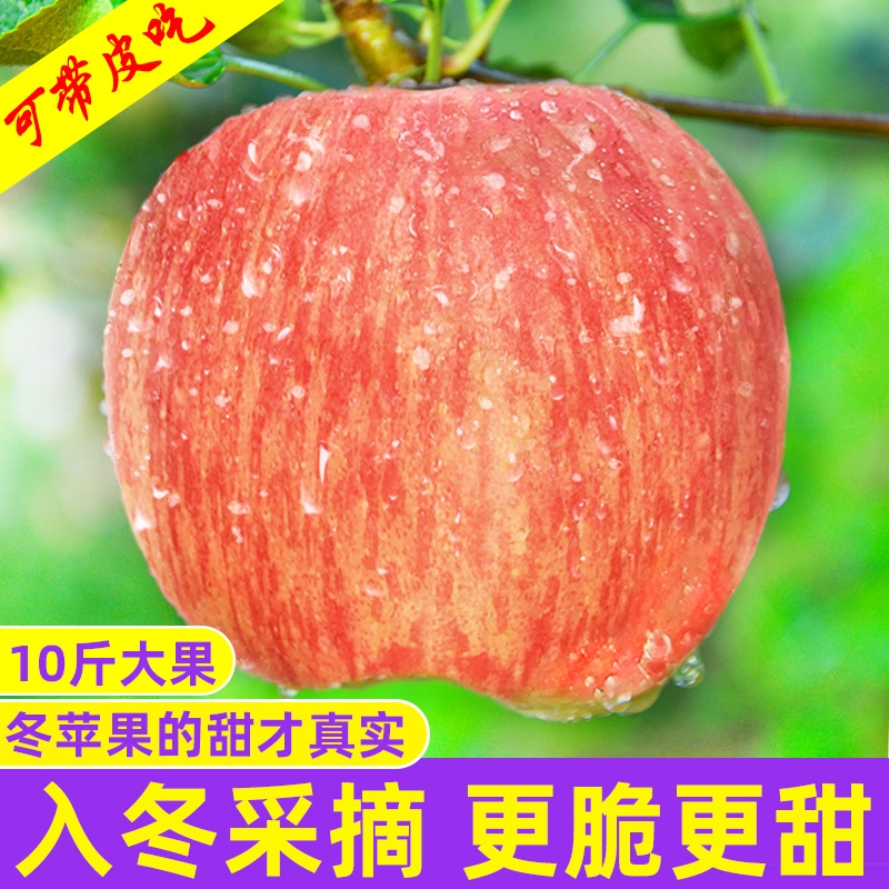 山西运城红富士丑苹果新鲜水果当季整箱斤10应季冰糖心脆甜平自然