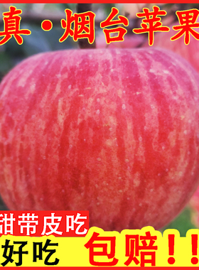 正宗山东烟台红富士苹果新鲜水果小苹果一级精品冰糖心脆甜栖霞平