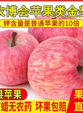 山西吉县壶口红富士平苹果新鲜水果当季整箱脆甜一级精品冰糖心