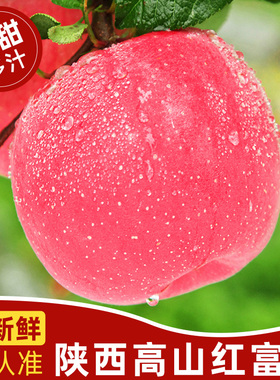 陕西高山红富士苹果水果新鲜当季整箱冰糖心一级脆甜平果10斤包邮