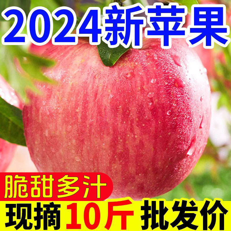 正宗陕西洛川苹果10斤新鲜水果当季红富士冰糖心一级脆甜整箱包邮